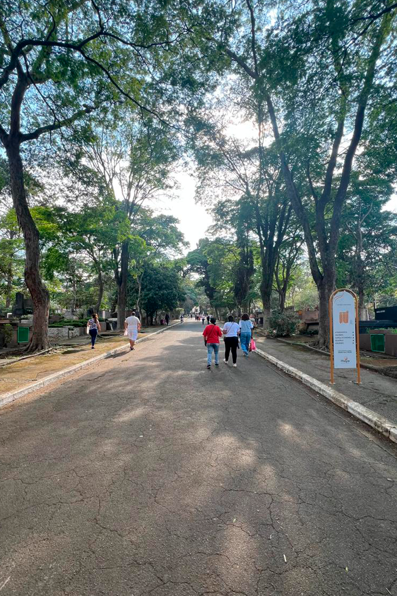 campo-grande5